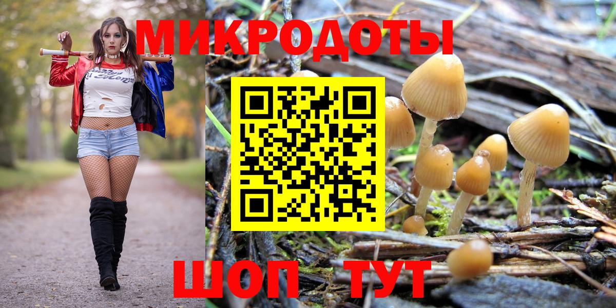 Псилоцибиновые грибы Cubensis  Псилоцибиновые грибы мицелий  Славянск-на-Кубани  Вход с VPN 